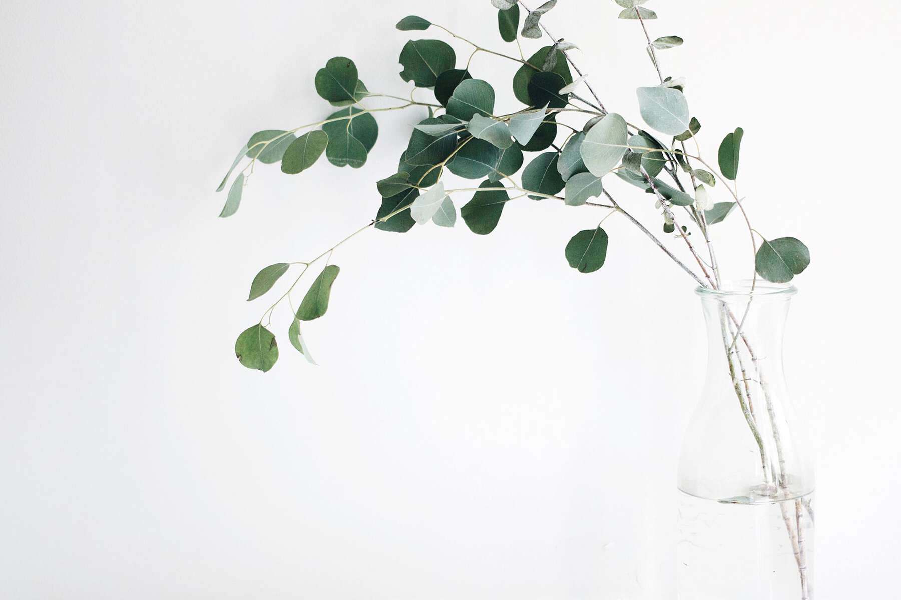 A plant in a glass vase on the floor